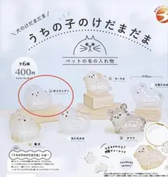 犬のけだま うちの子のけだまだま ポメラニアン