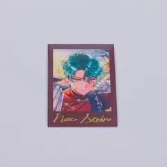 悪魔執事と黒い猫 あくねこ ぱしゃこれ 箔押し ナック