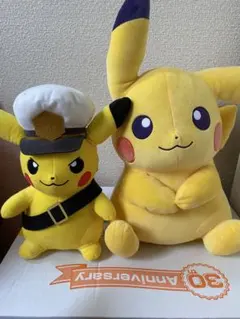 ポケモン ピカチュウ めちゃもふぐっとぬいぐるみ 2体セットのサムネイル