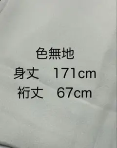 上質な色無地　千草鼠色　ロング丈　正絹　逸品　未使用