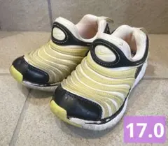 NIKE ダイナモフリー　黄色　黒　17.0