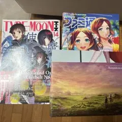 緑*様 TYPE-MOONエース vol.2 2009年3月号増刊 - メルカリ