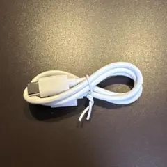 USB-C 充電ケーブル 約50cmホワイト