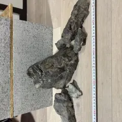 ADA 万天石 レイアウトセット 60cm 極上①のサムネイル