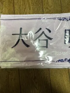 Item thumbnail for item 8b108133-befd-4ebf-b2e7-2e59e76bfc8f