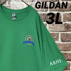 GILDAN 半袖 Tシャツ US古着 ビッグプリント USAデザイン