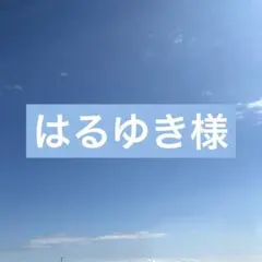 はるゆき様専用
