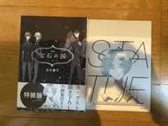 2025年最新】宝石の国 巻 特装版の人気アイテム - メルカリ