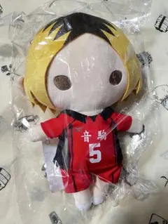 2025年最新】ぬいぐるみペンポーチ ハイキューの人気アイテム - メルカリ