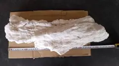 Item thumbnail for item fd59f1a0-c4f1-4893-8211-13facb552589