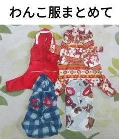 【未使用品・4枚まとめて】犬 服