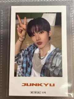 TREASURE ジュンギュ　チェキ