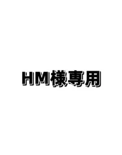 HM様即購入 専用商品