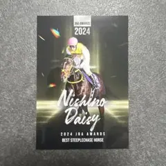 JRA-VAN ニシノデイジー 複コロ　3000コイン賞