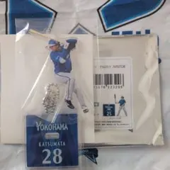 横浜DeNAベイスターズ 勝又温史 アクリルスタンド