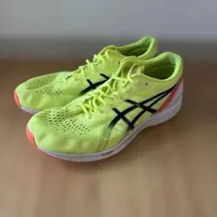 25.0cm】DESCENTE デサント エナザイト・グレート グリーン - メルカリ
