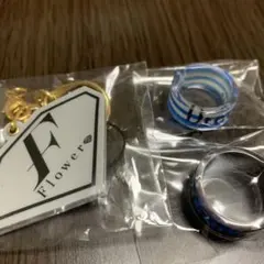 Item thumbnail for item e00f72d3-cb9d-45f4-9f85-16c2fe758f23