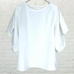 Item thumbnail for item fcb6002f-a92b-42e3-a3b2-7e6efed1b701