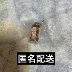 ディズニー　めじるしアクセサリー　summer チップ　デール