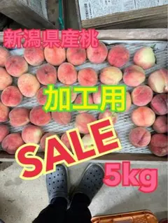 5.最終SALE 若桃 摘果桃 加工 桃 山梨県産 箱込み5kg - メルカリ