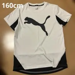 160cm PUMA ホワイト ブラック TシャツKEEPS YOU DRYのサムネイル