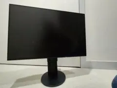 FlexScan EV2456 24.1インチモニター