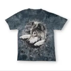 ②Hawaiian Pro Designs ドナルドタカ ヤマTシャツ bird - メルカリ