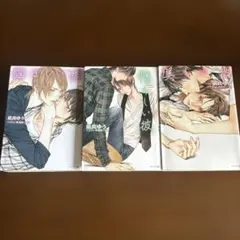 悩ましい彼 美しい彼1〜 3