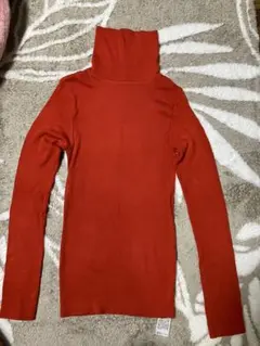 極暖ヒートテックシームレスリブタートルネックT ユニクロ