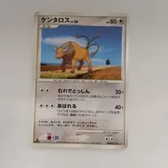 ポケモンカード ケンタロス LV.26 DPBP#152