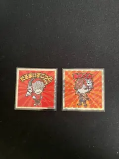 クレイジーラクーンマンチョコ　だるま　ありさか