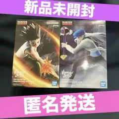 HUNTER×HUNTER VIBRATION STARS ゴン　カイト　セット