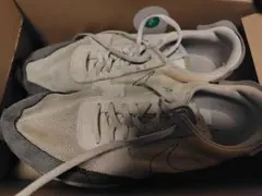 Nike ランニングシューズ ホワイト/グレー