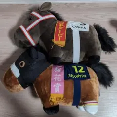 サラブレッドコレクション　コントレイル　ステレンボッシュ