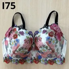 新品・タグ付き Wacoal Salute ブラジャー F75 BTJ444 - メルカリ