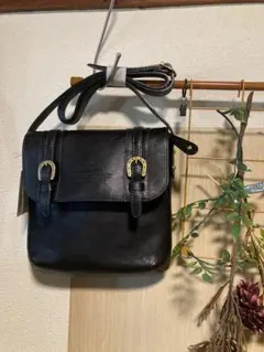 1／4迄の特価！　Dakota ダブルベルトショルダーバッグ　黒