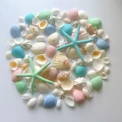 貝殻　貝殻アソート　お買い得　夏休み　工作　夏　シェル　海　デコ　パステルカラー