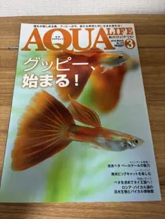 Item thumbnail for item 72aa11a7-06cb-4d24-8837-93bb9364a9d9