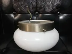 Item thumbnail for item f379bc81-ba18-411c-992a-2808294ec309