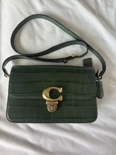 【値下げ！】ダークグリーン クロコダイル風 ショルダーバッグ