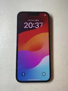 りっちゃん様専用　Apple iPhone 14 256GB ミッドナイト