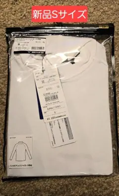 Item thumbnail for item 80aa87bf-efca-43b5-bcb6-04570b2196a0