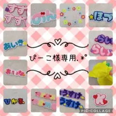 ぴーこ様専用.*゜