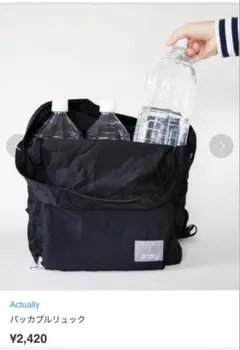 Actually 折りたたみ　リュックサック　黒 ブラック