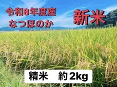 令和8年鹿児島県産 なつほのか お米 新米 約2kg 精米済 紙袋付き 農家