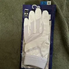 Item thumbnail for item 7d4bdd10-4cca-484d-9442-f7759ee28a16