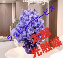 光触媒 人工観葉植物 ウォールグリーン フェイクグリーン クネクネ