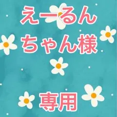 えーるんちゃん様専用