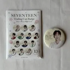 SEVENTEEN 缶バッジ まとめ売り 饅*❀様 ミンギュ 缶バッジ まとめ売り セット SEVENTEEN セブチ