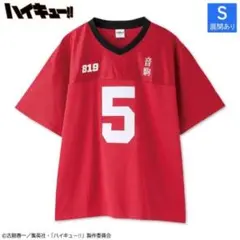 ハイキュー!!　音駒　孤爪研磨　ユニフォーム　Tシャツ　アベイル　コラボ　4L